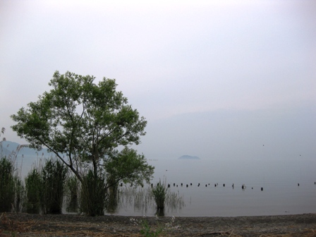 静かな琵琶湖岸・・そして朝
