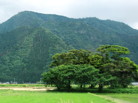 田園風景・・皐月が終わる