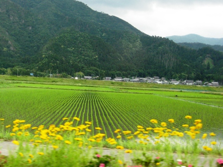 田園風景・・皐月が終わる