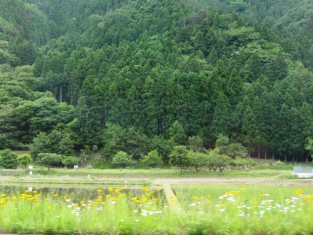 田園風景・・皐月が終わる