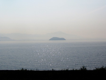 朝風景・・オニグルミとツバメと琵琶湖