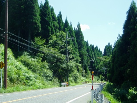 じりじり暑さも・・日曜日