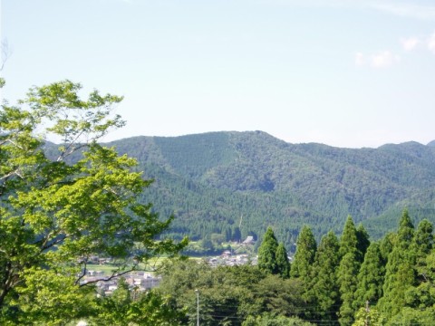 じりじり暑さも・・日曜日