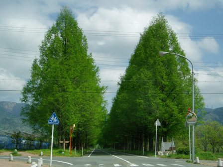 母の日は…