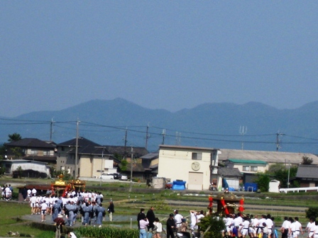 レンゲも御輿も･･夏日でした。