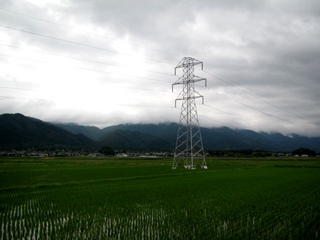 軽く梅雨の様子になって・・・
