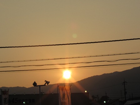 沼のトンボ・・・