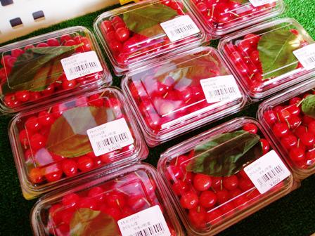 麦刈り取り、サクランボ・・ポイ捨てゴミ
