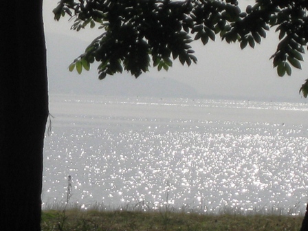 ６月１５日・・朝の琵琶湖