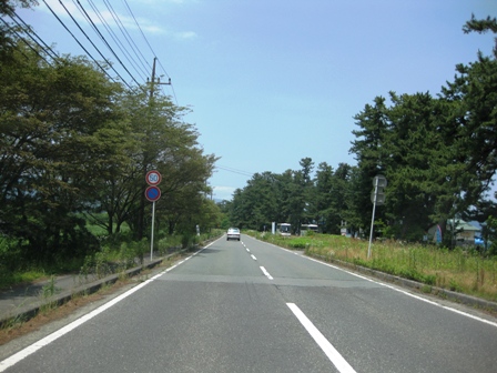 お昼の家並み松並木