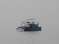 琵琶湖の湖面に・・・