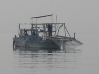 琵琶湖の湖面に・・・