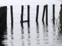 琵琶湖の湖面に・・・