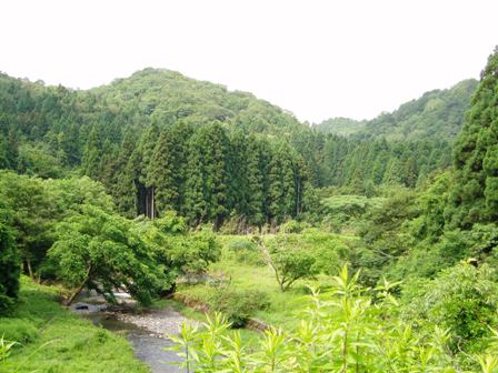 真夏がにじみ出た土曜日でした