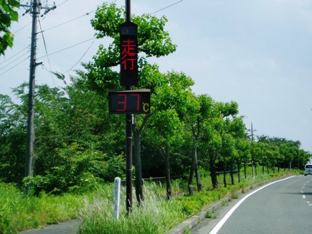 真夏がにじみ出た土曜日でした