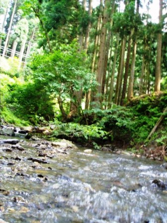 治水・・そして今も琵琶湖源流