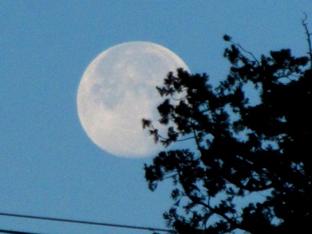 朝の月、朝の金星、朝の琵琶湖