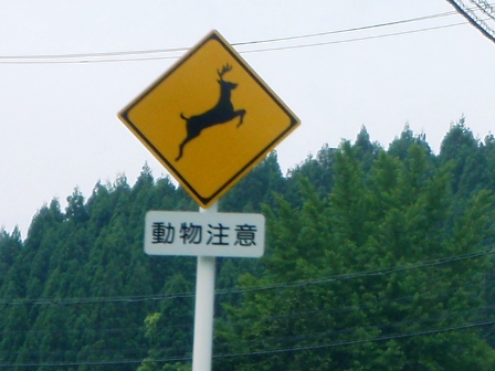 今日の風景と・・「くつきの森」
