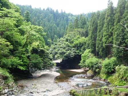 今日の風景と・・「くつきの森」