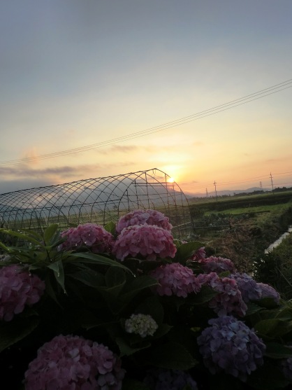 日の出とともに・・７月１０日