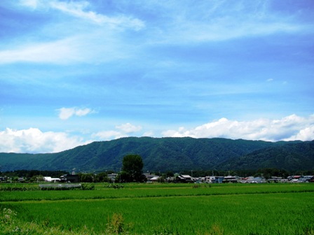 夏でした・・トンボ