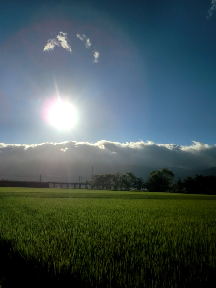 台風一日・・朝昼夕
