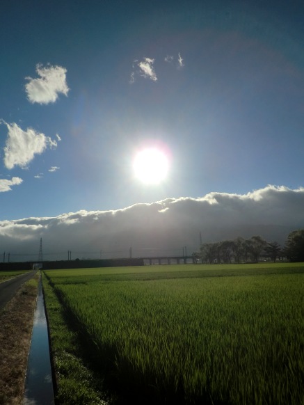 台風一日・・朝昼夕