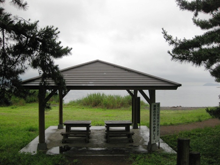 菱、ｱﾒﾝﾎﾞｳ、稲穂・・琵琶湖曇天