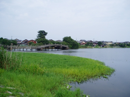 今夜は冷えません・・今日の風景