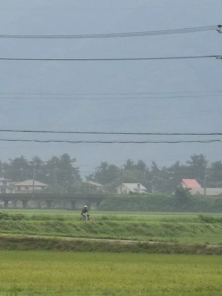 朝は雲間に見え隠れ