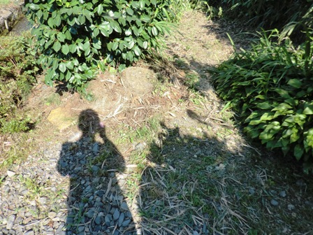 梅雨明け模様から夏模様・・・