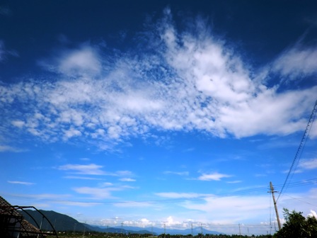 梅雨明け模様から夏模様・・・
