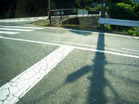 昼下がりの日差しが・・