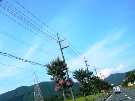 昼下がりの日差しが・・