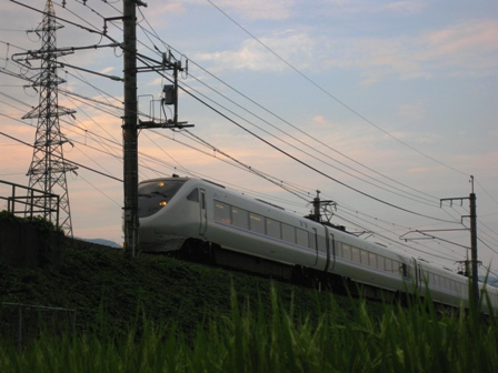 一年の折り返しの感・・