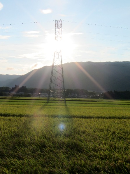 朝と夕の琵琶湖を見ながら・・