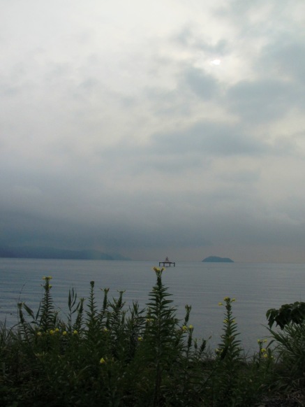 花と蝶・・琵琶湖岸