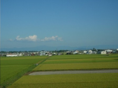 吾亦紅に夕月・・帰り道に琵琶湖・・湖西線車窓から風景。