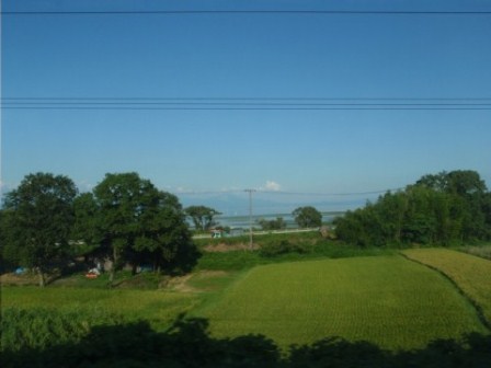吾亦紅に夕月・・帰り道に琵琶湖・・湖西線車窓から風景。