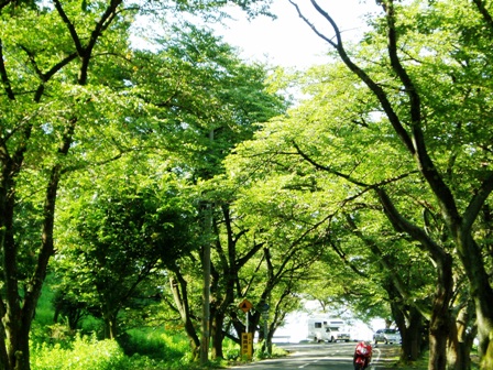 昨日の景色･･今日はどうかな？