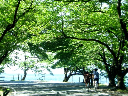 高島市・・今日に一日