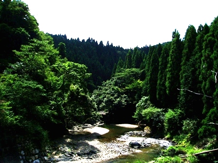 高島市・・今日に一日