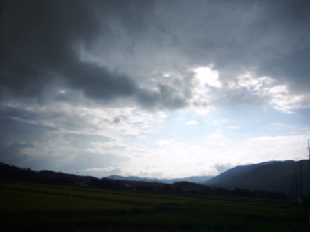 この時期、邪魔な雨