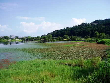 八月終盤の･･高島市風景