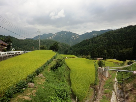 八月終わりの・・高島市内