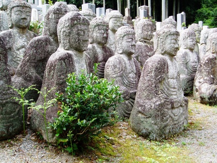 八月終わりの・・高島市内