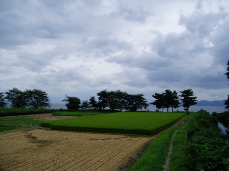 八月終わりの・・高島市内