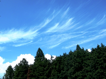 夏空・・暑かったけど。