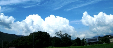 夏空・・暑かったけど。