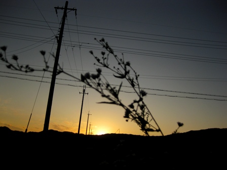 風が踊った・・夕刻